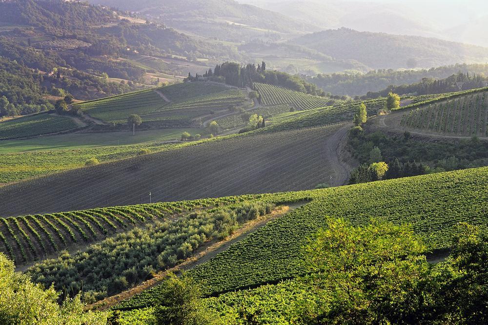 Fattoria Poggerino Bed & Breakfast Radda in Chianti Room photo