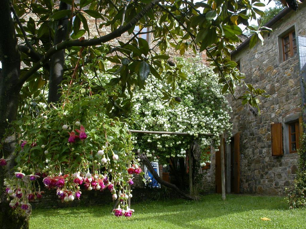 Fattoria Poggerino Bed & Breakfast Radda in Chianti Room photo