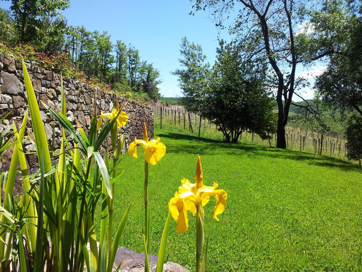 Fattoria Poggerino Bed & Breakfast Radda in Chianti Exterior photo