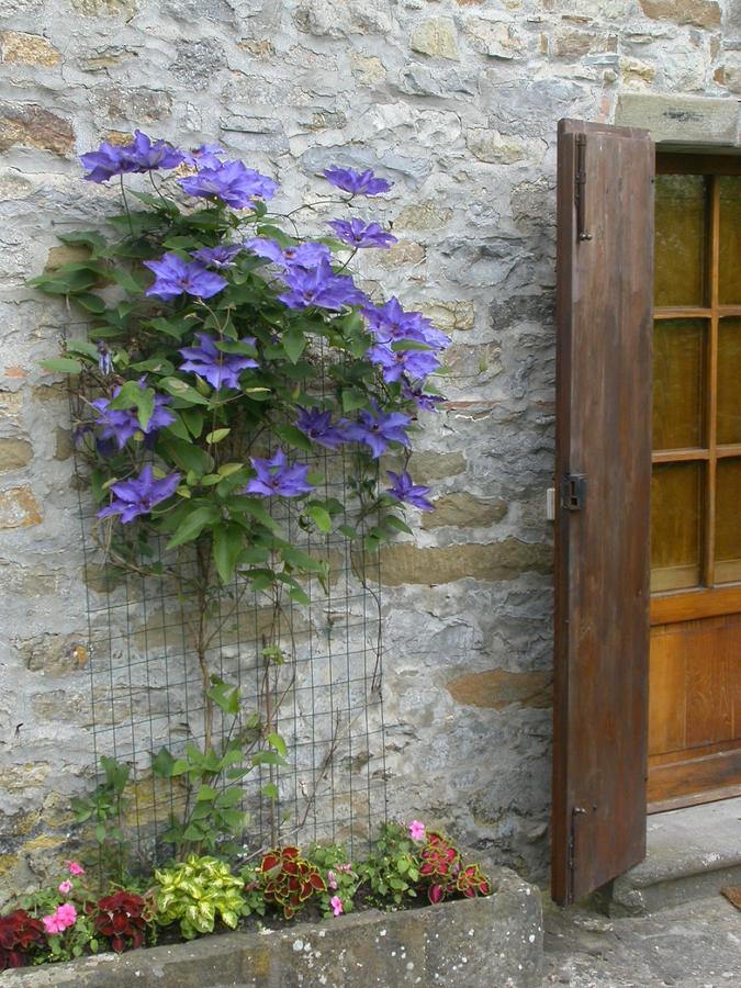 Fattoria Poggerino Bed & Breakfast Radda in Chianti Exterior photo